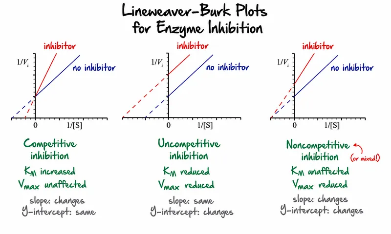 Lineweaver-Burk plots for enzyme inhibition types