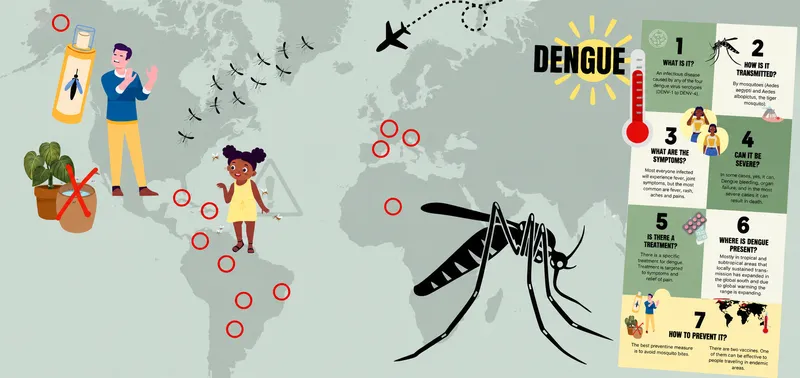 Dengue Fever Infographic