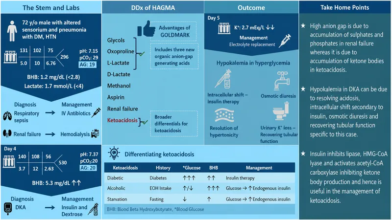 HAGMA DDx and Ketoacidosis Differentiation