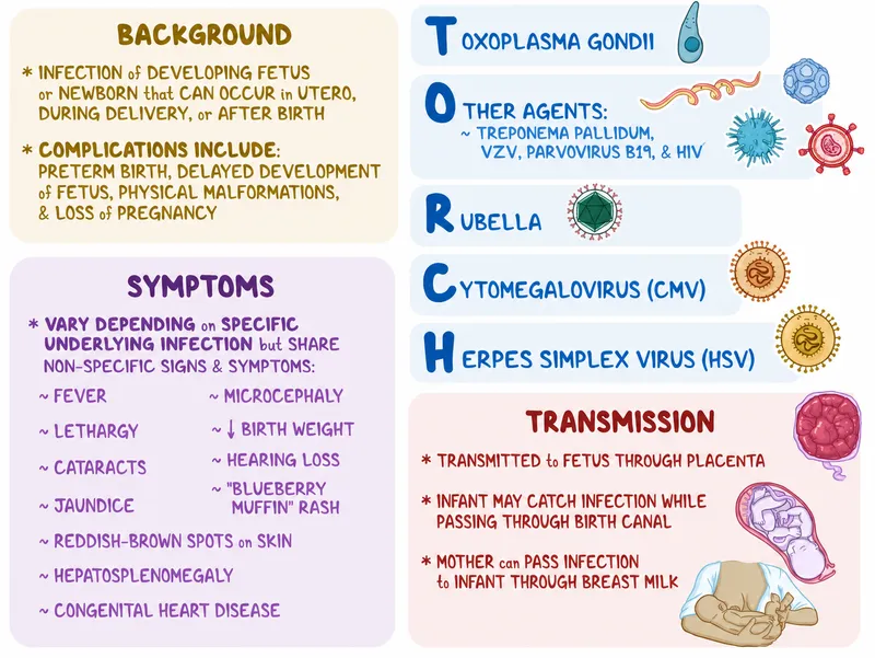 TORCH Syndrome: Causes, Symptoms, Transmission