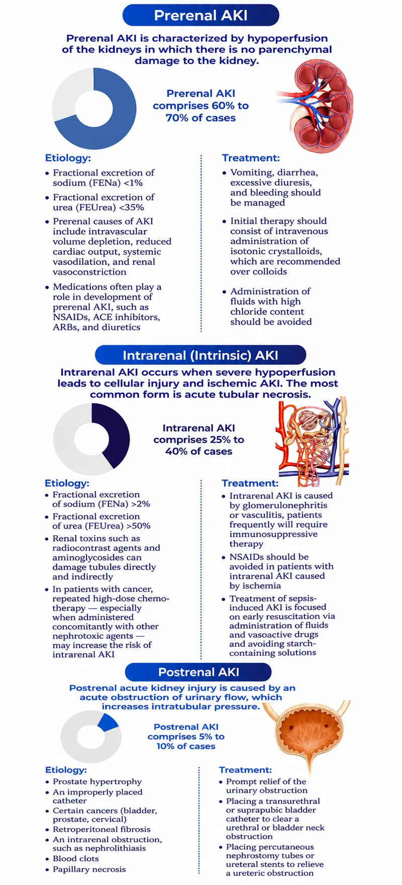 Acute Kidney Injury (AKI) Quick Facts Infographic