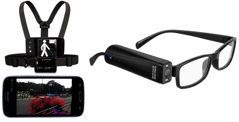 Wearable and smart glasses low vision aids
