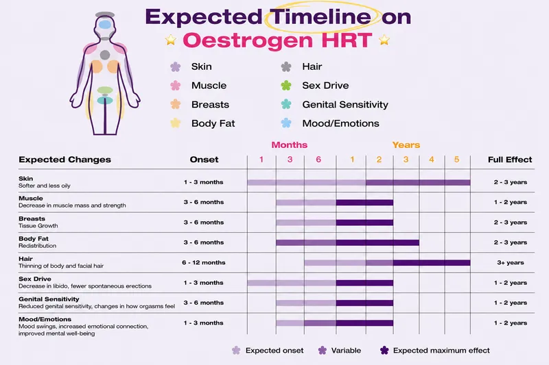 Timeline of physical changes with feminizing hormones