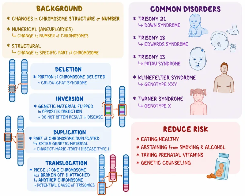 Karyotype analysis showing chromosomal abnormalities in genetic disorders