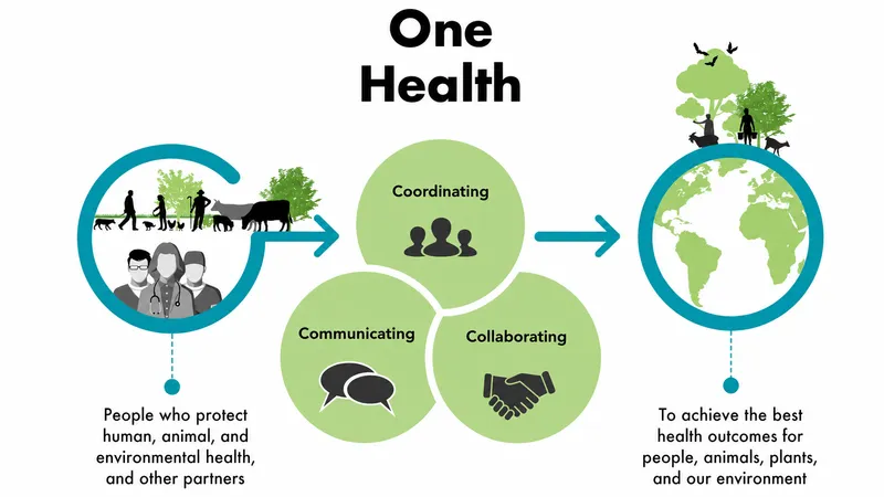 One Health approach diagram showing interconnected animal, human, and environmental health systems