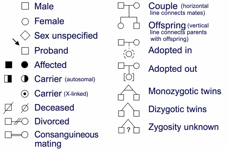Standardized Pedigree Symbols