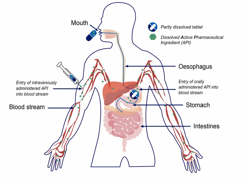 Oral vs IV bioavailability diagram