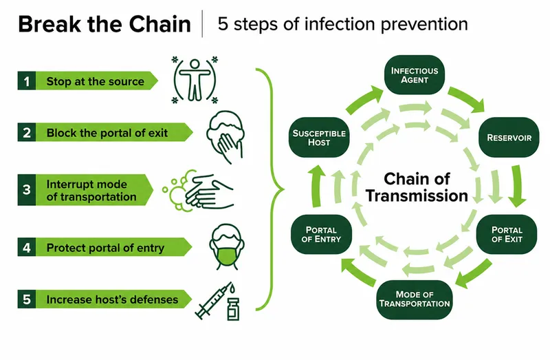 Chain of Transmission and 5 Steps of Infection Prevention