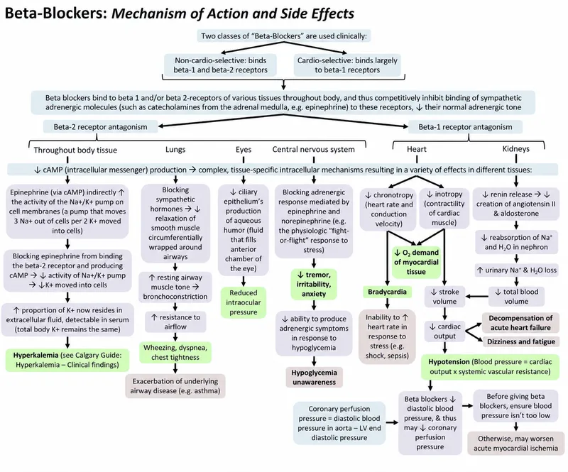 beta blocker mechanism