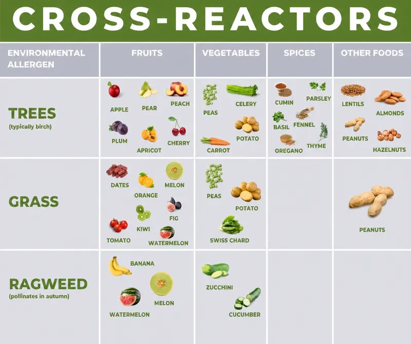 Oral Allergy Syndrome: Pollen-Food Cross-Reactivity Chart
