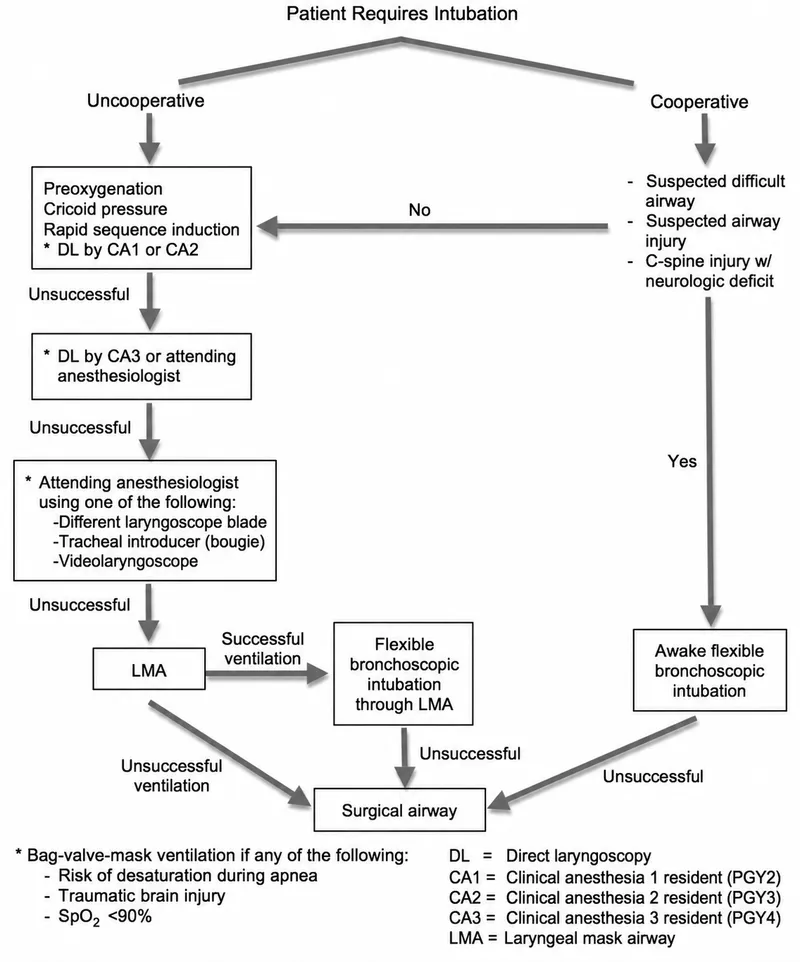 Airway Management Algorithm for Trauma Patients