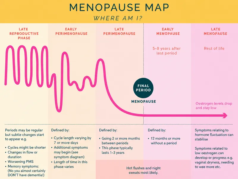 Menopause Map: Hormonal Changes and Symptoms