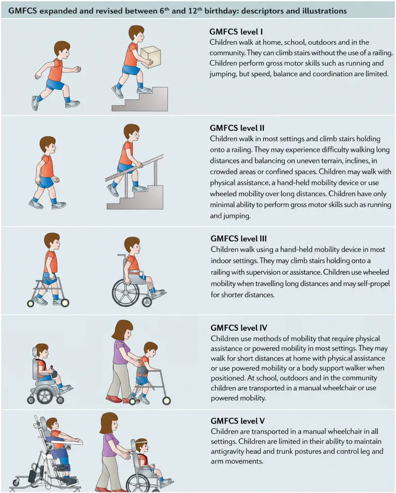 GMFCS levels 6-12 years: descriptors and illustrations