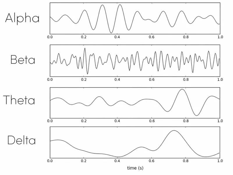 EEG Brain Wave Types