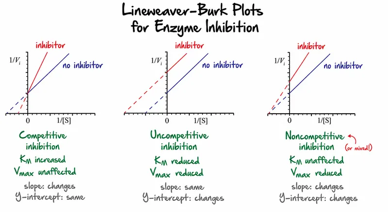 Lineweaver-Burk Plots for Enzyme Inhibition