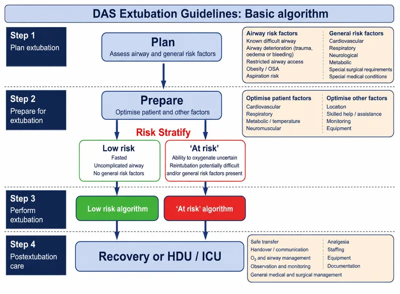 DAS Extubation Guidelines Basic Algorithm