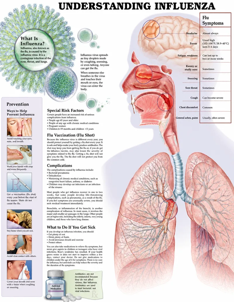 Understanding Influenza: Symptoms, Prevention, Treatment