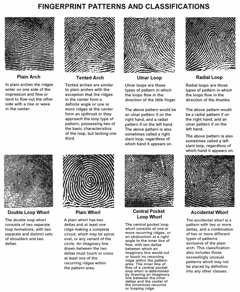 Fingerprint Patterns and Classifications