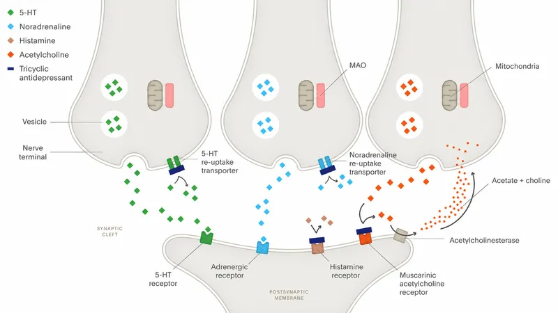 Tricyclic Antidepressant Mechanism of Action