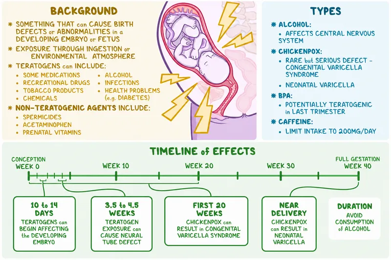 Teratogens and fetal development timeline