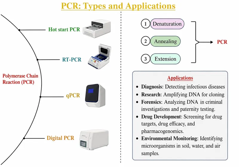 PCR types, steps, and applications diagram