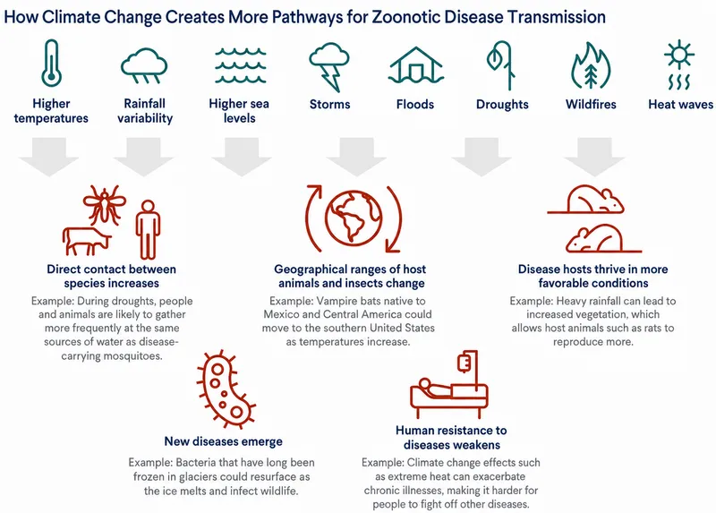 Climate Change and Zoonotic Disease Transmission