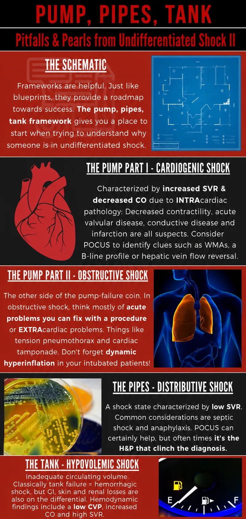 Shock hemodynamic profiles comparison table
