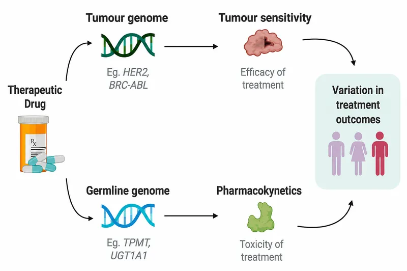 Germline vs Somatic Mutations in Cancer Pharmacogenomics