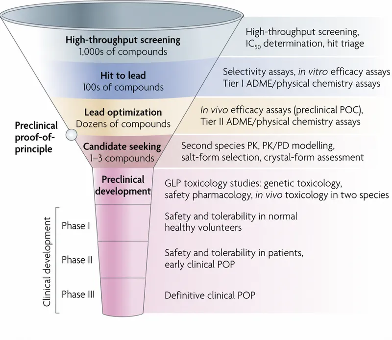 Drug development pipeline: preclinical to clinical phases