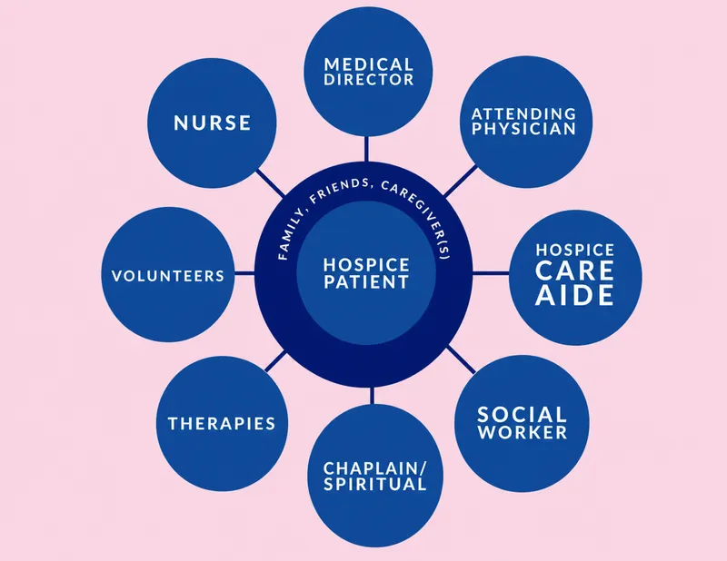 Hospice Team Structure Diagram