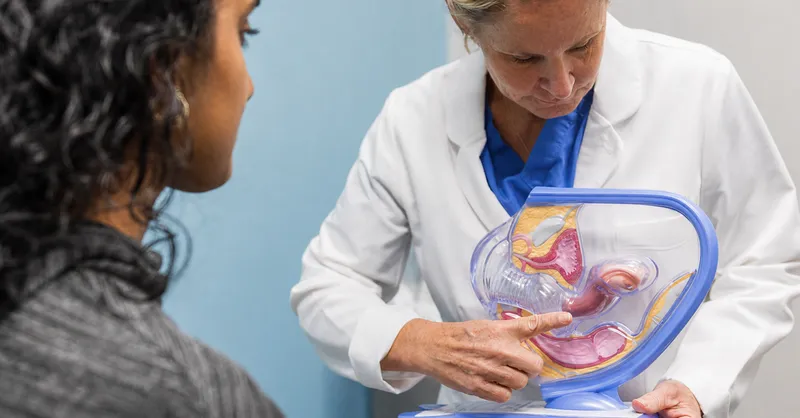 Doctor explains female anatomy model