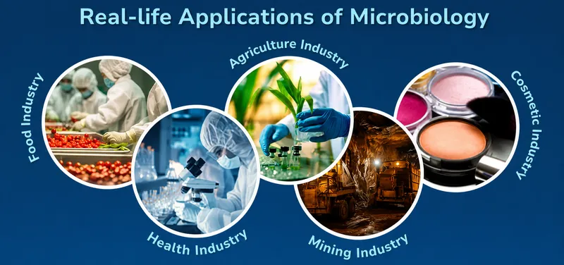 Real-life Applications of Microbiology