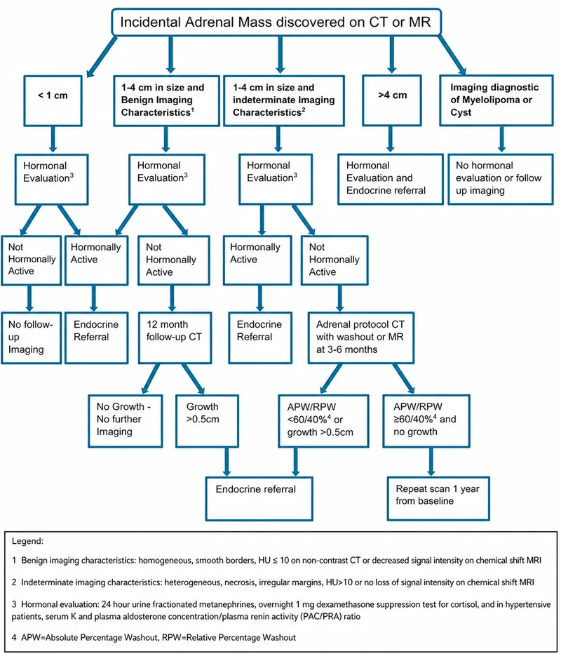 Algorithm for Managing Incidental Adrenal Masses
