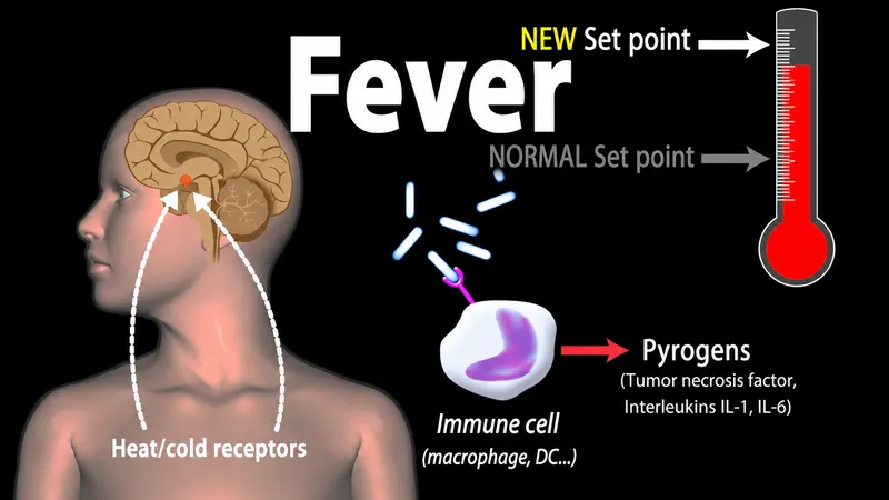 Fever pathophysiology: Pyrogens and hypothalamic set-point