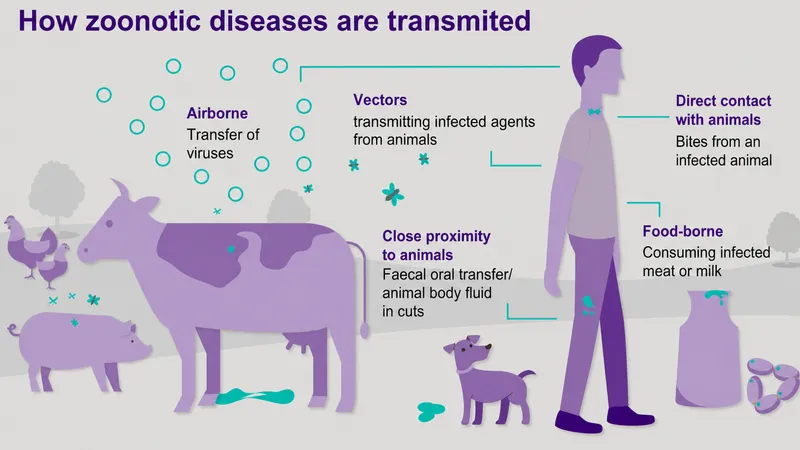 Zoonotic Disease Transmission Pathways