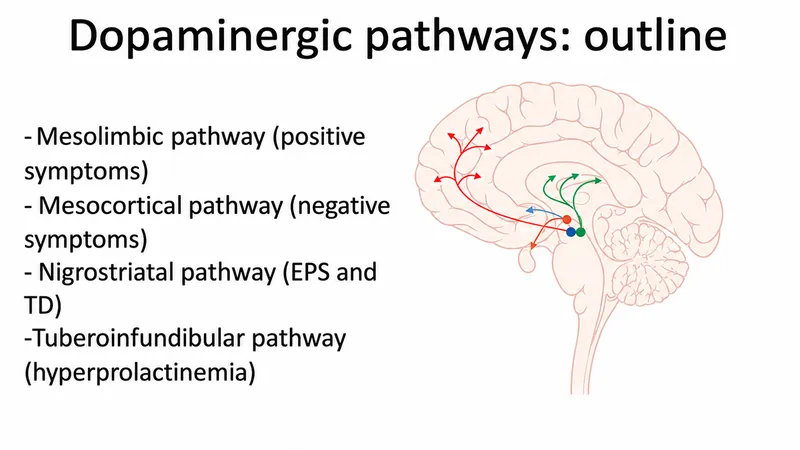 Dopaminergic pathways and associated symptoms