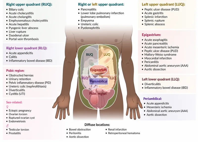 Abdominal Pain by Quadrant and Associated Conditions
