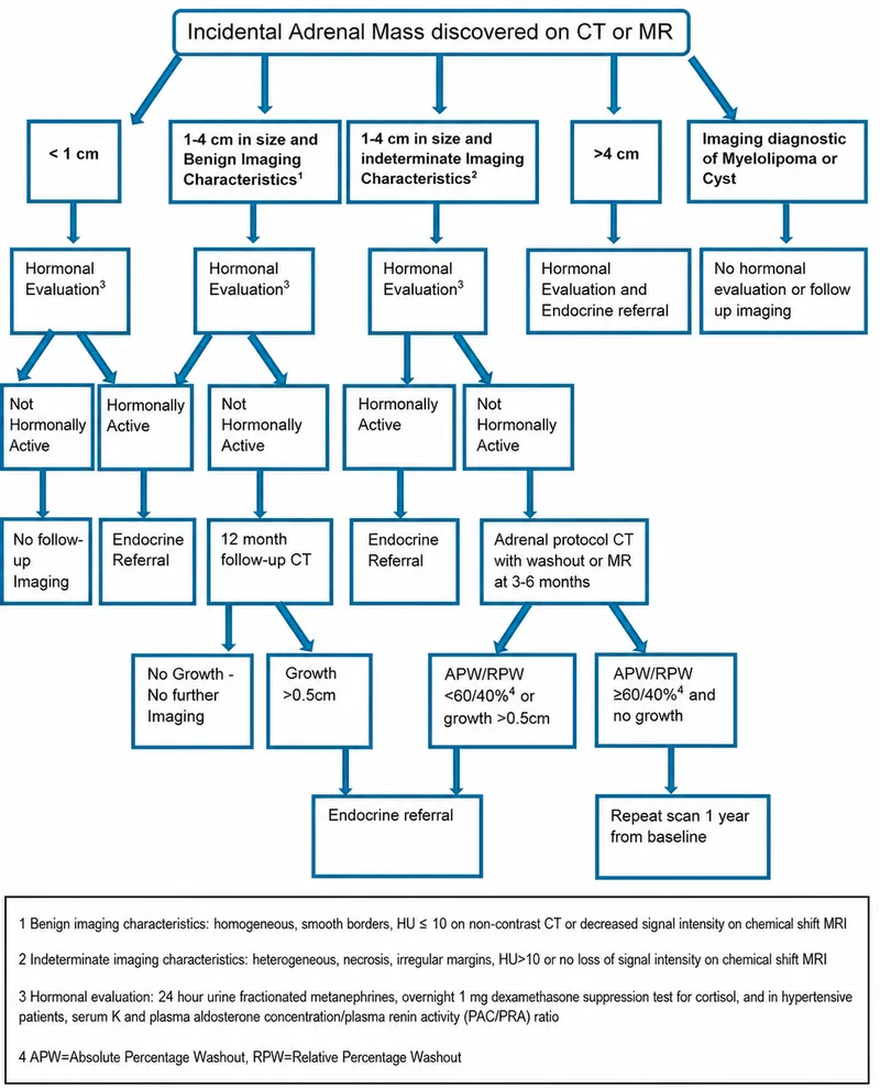 Algorithm for managing incidental adrenal mass