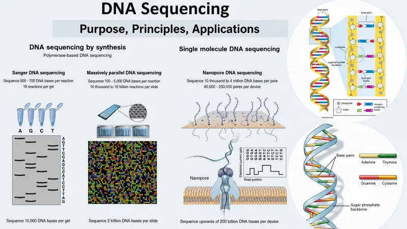DNA Sequencing Methods Overview