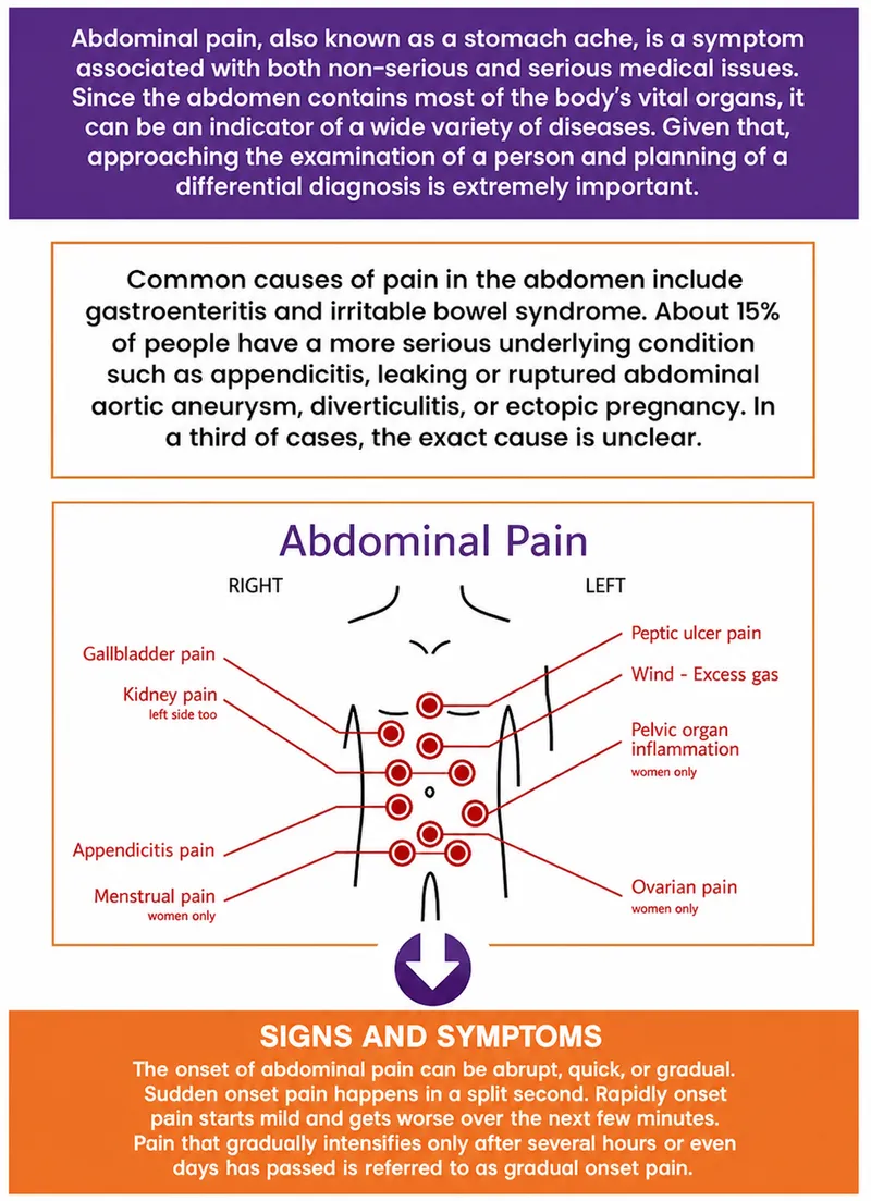 Abdominal Pain: Location and Potential Causes