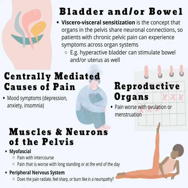 Organ System Approach to Chronic Pelvic Pain