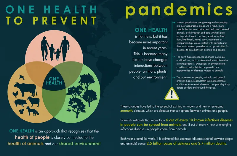 One Health approach to prevent pandemics