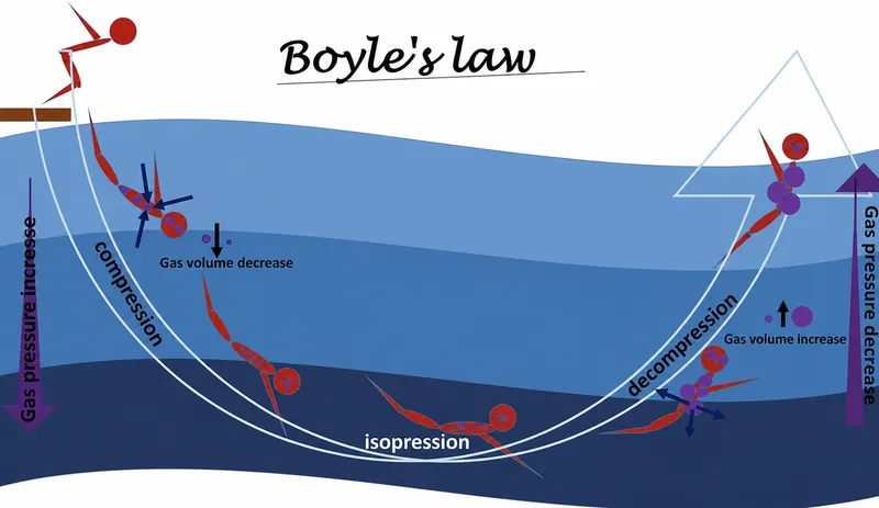 Boyle's Law and Diving: Pressure, Volume, Compression