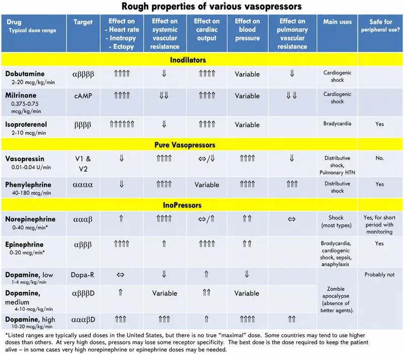 Vasopressor Properties and Effects Chart