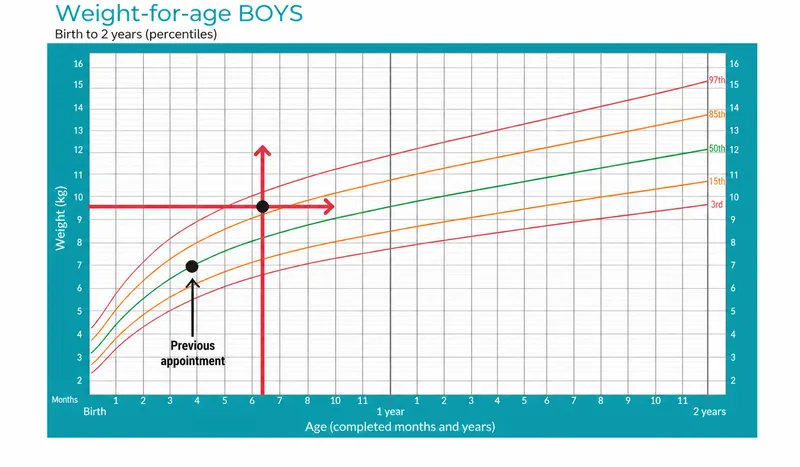 WHO Weight-for-Age Growth Chart for Boys (0-2 years)