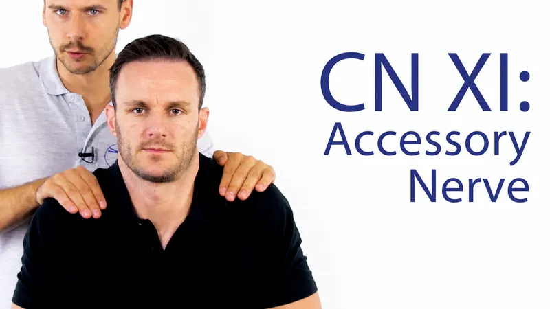 Rapid cranial nerve examination technique guide