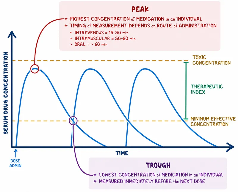 Pharmacokinetic curve: peak, trough, therapeutic window