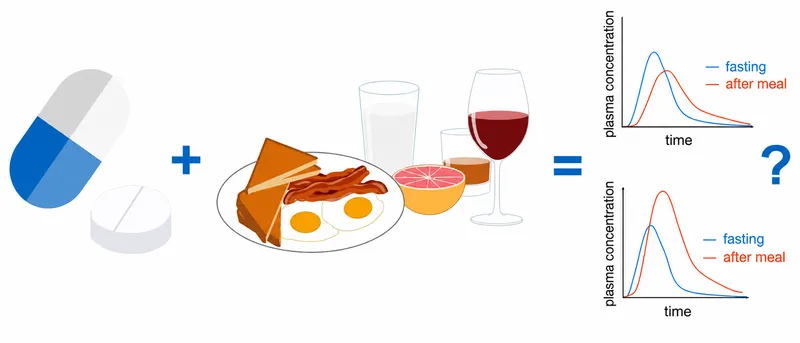 Drug-Food Interactions and Plasma Concentration Curves