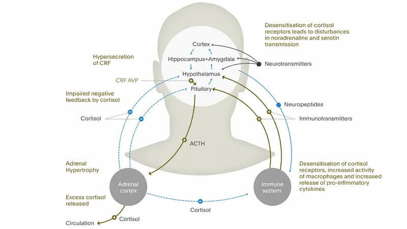 HPA axis impaired negative feedback mechanism