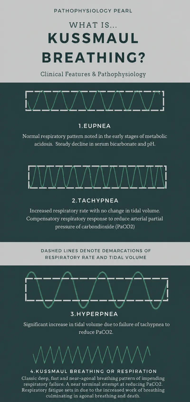 Kussmaul Breathing Patterns in Metabolic Acidosis